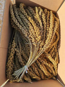 Voedsel Voor Vogels 15Kg Kartonnen Doos Pakket Vogel Voedsel Geel Rode Gierst Sprays Vinger Gierst - Product Image 6