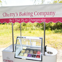 Congélateur mobile à gelato à température unique, portable, à poussée manuelle, avec vitrine