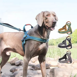 Arnés de moda para perro, conjunto de arnés para mascotas, de nailon transpirable, reflectante, con correa de pecho tipo silla, collar antiescape y asa, colorido - Product Image 1