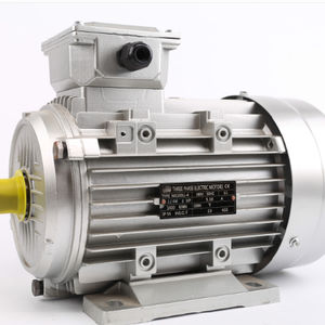 มอเตอร์ไฟฟ้าเหนี่ยวนำสามเฟส MS100L1-4 2.2 กิโลวัตต์ <span class=keywords><strong>3</strong></span> แรงม้า 2800 รอบต่อนาที ประสิทธิภาพสูง สำหรับตัวลดความเร็ว ความถี่ 50 เฮิรตซ์ เสียงรบกวนต่ำ - Product Image 2