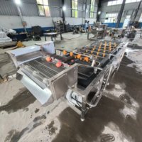 Automatische luchtbelwasmachine SUS304 roestvrij staal fruit groente zeevruchten reinigingsmachine voor voedselverwerkingsbedrijven