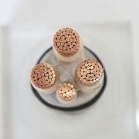 0,6/1kV 4x16mm² / 25mm² / 70mm² / 95mm² / 120mm² Niederspannungs-Armiertes Erdkabel – XLPE-isoliert, Stahldrahtarmiert