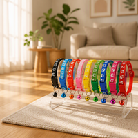 Collier personnalisé multicolore en nylon pour chien, chiot et chat, avec décoration en dentelle, robuste, pour l'entraînement, accessoire pour animaux de compagnie, à ouverture rapide, rembourré, haute qualité