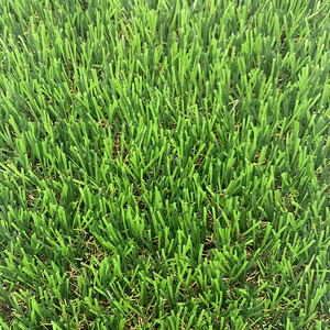 Emulational Nhân Tạo Cỏ Nhựa <span class=keywords><strong>Mat</strong></span> <span class=keywords><strong>Mat</strong></span> Tổng Hợp Cỏ Thảm Cỏ - Product Image 6