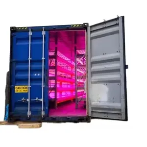 Nhà kính container thông minh trang trại hydroponics hệ thống container nhà kính
