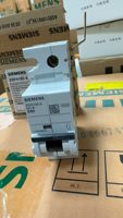 Interruptor de Circuito PLC 1P80A 1P 80A