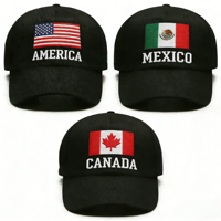 Gorra de Béisbol Oxford Dobby Impermeable con Logotipo Personalizado y Bandera Nacional, Bordado a Mano, para Fanáticos de Deportes, Ajustable, Transpirable, con Protección Solar