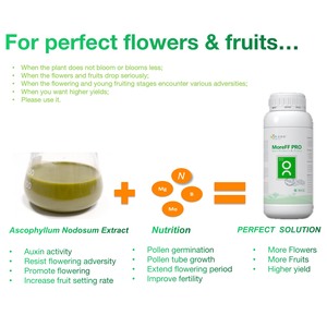 Agrinorm mff biostimulant lỏng đặc biệt chức năng phân bón cho tăng năng suất nhiều hơn hoa trái cây chống ra hoa - Product Image 6