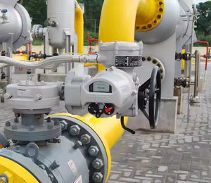 Actionneur intelligent original non intrusif Rotork IQ3 Actionneur électrique multi-tours pour environnements difficiles - Product Image 6