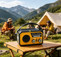 Radio d'urgence portable multifonction 16000 mAh avec lampe torche, dynamo à manivelle, AM/FM/WB météo et fonction SOS pour extérieur