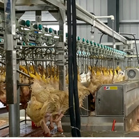 Équipement d'abattage de volailles entièrement automatique, équipement complet d'abattoir de poulets, ligne de traitement industrielle pour abattoir