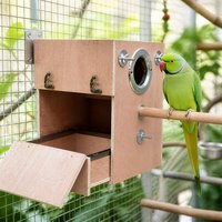 Tunnel de reproduction classique en bois pour perroquets, nid d'aviarium fait main, entrée à anneau métallique, perchoir, tiroir de nettoyage extractible, pour calopsites et conures