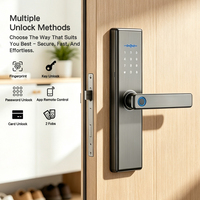 Contoh Tersedia Tuya Smart WiFi untuk Kunci Pintu Aplikasi Keamanan Pintar Penggunaan Jarak Jauh Baterai Listrik untuk Rumah Anti-Intip Kata Sandi