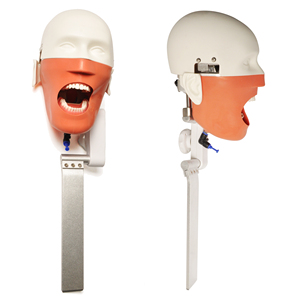 Laboratorio Phantom Head Dental manichino simulatore per la <span class=keywords><strong>formazione</strong></span> orale dentaria sedia inserzione-<span class=keywords><strong>scienza</strong></span> medica del prodotto - Product Image 1