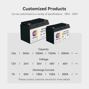 カスタマイズ可能な12V 24V 36V <span class=keywords><strong>48V</strong></span>充電式Lifepo4ソーラー蓄電池 50Ah 100Ah 200Ah 300Ah RV マリン ゴルフカート用リチウム電池 - Product Image 2