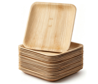 Assiettes jetables compostables en bambou BOFA 3,5/7/9/11 pouces, emballage alimentaire, compatibles micro-ondes, biodégradables, pour fêtes et dîners