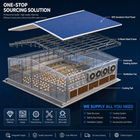 Gallinero Modular Ecológico de Estructura de Acero, Edificio Prefabricado Inteligente para Granja Avícola, Nave Sostenible para Pollos de Engorde y Ponedoras