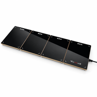 Plateau chauffant électrique modulaire pour aliments, planche isolante, planche chauffante pour plats, planche de maintien au chaud, accessoire pour la maison
