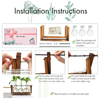 Jardinière en verre à 3 ampoules pour décoration intérieure avec support en bois-Vase hydroponique rotatif pour plantes aériennes, jardin de bureau rétro pour la maison/le bureau