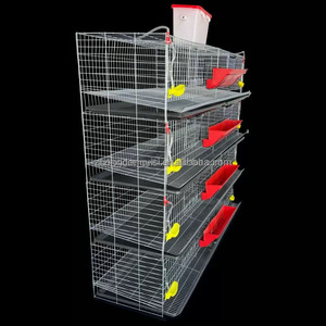 Jaula para Codornices de Alta Calidad Tipo H con Alimentación Automática, <span class=keywords><strong>Jaulas</strong></span> para Codornices para Producción de Huevos, Jaula para Aves de Reproducción - Product Image 4