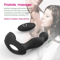 Y Love Erwachsenen-Sexspielzeug Männlicher und Weiblicher Prostata-Massager Kabellose Steuerung 10 Frequenzen Wasserdicht IPX6 USB-Aufladbarer Analplug