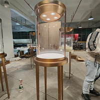 Vitrine de luxe pour musée, en acier inoxydable doré, avec éclairage LED, pour bijoux, montres, cylindres, présentoir en verre, exposition de galerie d'art