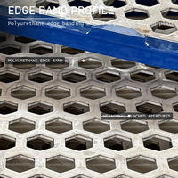 Chars Factory Direct Wholesale Copper Ore Concentrator Plant Polyurethane Edge Banded Hexagonal Punched Vibrating Screen Plate