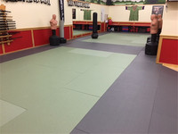 Tapis de judo homologué IJF, 4 cm, nouveau type de tapis de judo