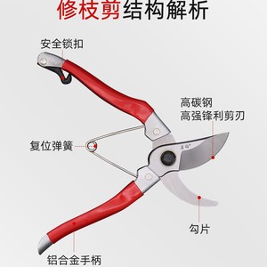 Nice Garden Shears Stainless Steel 55mm Beak Shape Butterfly Structure Pruning Scissors For Fruit Tree Orchard Use - Product Image 4