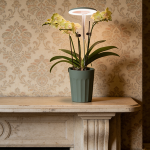 Lámpara LED para Orquídeas con Maceta Decorativa de Autorriego, Juego de Macetas Modernas con Asa para Decoración del Hogar, Oficina y Jardín - Product Image 5
