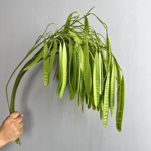 YOPIN-6076 Haricot long à tiges longues, feuilles plates, vert brunâtre, <span class=keywords><strong>plantes</strong></span> tombantes pour décoration de mariage - Product Image 2
