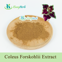 Poudre d'extrait de racine de Coleus Forskohlii naturelle pure de haute pureté, Forskolin, extrait végétal standardisé, vente en gros en vrac