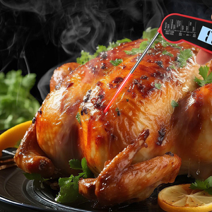 Termómetro Digital para Alimentos y Carne con Precisión de 0.5C, Apto para Lavavajillas, Lectura Instantánea, Termopar para Uso en la Cocina, Rotación de 180 Grados - Product Image 4