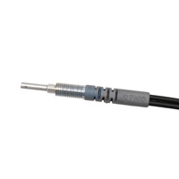 Sensor de Fibra Óptica Original RIKO PR-610-I M6, Fibra Óptica Reflectante