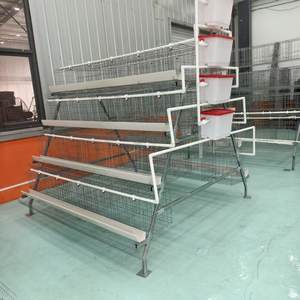 Cage à poules à 3 niveaux et 4 portes, prix bas, élevage avicole de 96 à 160 œufs avec des cages à batterie de type 4 niveaux au Nigéria - Product Image 2