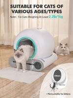Boîte à litière pour chat intelligente cachée semi-automatique facile à nettoyer boîtiers de meubles WiFi accessoires de caméra fabriqués tofu chatons