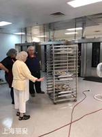 Nuevo Horno Rotatorio Eléctrico y a Gas Portátil Profesional con Acero Inoxidable para Panadería Comercial