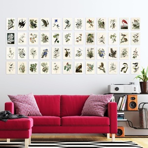 Poster Murale Personalizzato con Foto/Misura, Illustrazioni di Uccelli Americani, Stampa Artistica per Soggiorni e Arredamento Casa, Senza Cornice - Product Image 2
