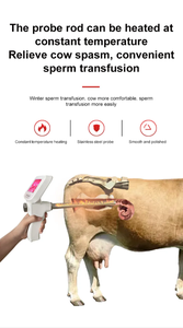 AMAIN Pistolet d'<span class=keywords><strong>insémination</strong></span> visuelle portable pour <span class=keywords><strong>chien</strong></span> Equipement vétérinaire Kit d'<span class=keywords><strong>insémination</strong></span> <span class=keywords><strong>artificielle</strong></span> Dispositif d'<span class=keywords><strong>insémination</strong></span> vidéo Pistolet d'<span class=keywords><strong>insémination</strong></span> vidéo - Product Image 6