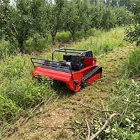 Promotion : Tondeuse à fléaux télécommandée sur chenilles 800 mm EPA EURO5 pour la tonte industrielle en bord de route