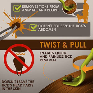 कुत्ते और बिल्ली कीड़े और कीड़े को पकड़ने पालतू जूँ पकड़ने पिस्सू हुक टिक हुक - Product Image 4