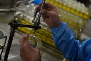 Lentes fotocromáticas graduales HMC + EMI, producto en oferta, 1,56 - Product Image 5