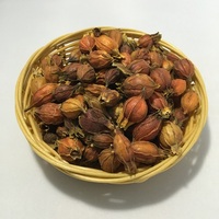 Gardenia Fruit Raw Gedroogd Natuurlijk Pigment Verkoelende TCM Kruidenthee voor Dagelijks Welzijn en Verlichting van Keelverwarming
