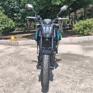 รถมอเตอร์ไซค์ STAHO Hurricane Racing Chopper 300 ซีซี เครื่องยนต์เบนซิน สตาร์ทไฟฟ้า/เท้าเหยียบ ความเร็วสูงสุด 150 กม./ชม. แรงทรงพลัง & OTTC - Product Image 3