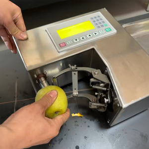 Máquina Peladora de Naranjas Automática con Control Digital para Procesamiento Comercial de Manzanas, Peras y Limones - Product Image 6