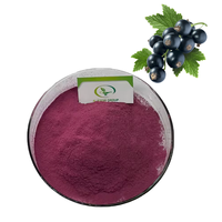 Polvo de Grosella Negra Natural de Alta Calidad, Grado Alimenticio, HALAL, Liofilizado y en Polvo, Rico en Polifenoles y Vitamina C, Gran Venta