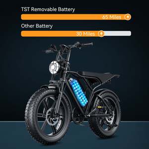 Vélo électrique de ville Saibaike R002, <span class=keywords><strong>prix</strong></span> abordable, 20 pouces, 250W, 48V, 15AH, Shimano 7 vitesses, vélo électrique de ville à pneus larges - Product Image 6