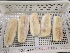 Venta Caliente de Filete de Pescado Blanco Entero Congelado, Bacalao y Filetes de Bacalao - Product Image 4