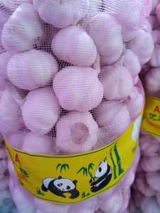 Chine Fournisseur d'origine Vente en gros de haute qualité Nouvelle culture Ail <span class=keywords><strong>frais</strong></span> blanc normal - Product Image 3