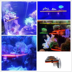 Supporto per Frag di Corallo Fluorescente per Acquario, Rastrelliera in Acrilico per Coralli, Supporto per Barriera Corallina Marina, Accessori per Acquario per la Crescita dei Coralli - Product Image 5